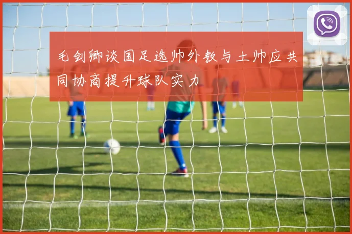 毛剑卿谈国足选帅外教与土帅应共同协商提升球队实力