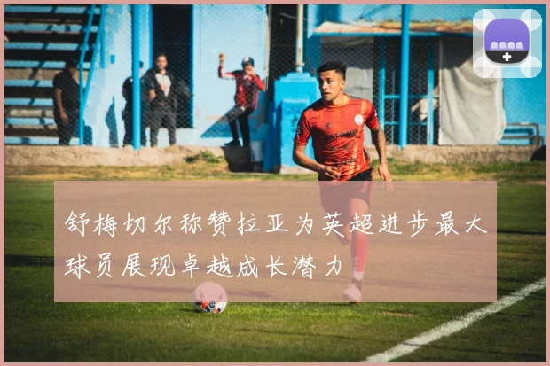 舒梅切尔称赞拉亚为英超进步最大球员展现卓越成长潜力