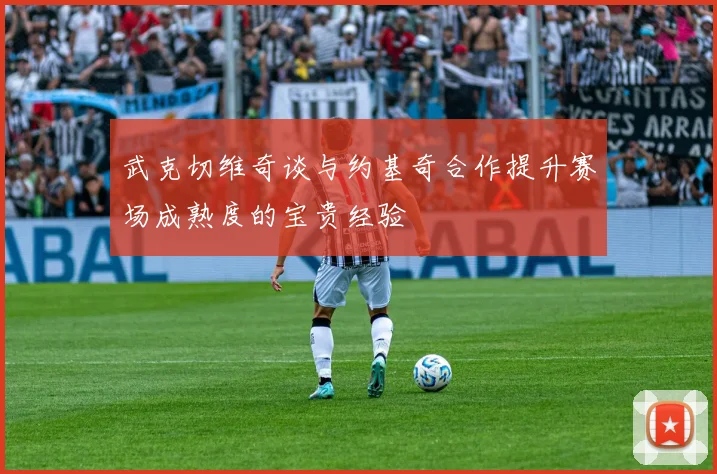 武克切维奇谈与约基奇合作提升赛场成熟度的宝贵经验